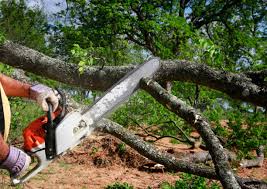 Best Lawn Watering Services  in Waurika, OK