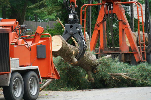 Best Organic Lawn Care Solutions  in Waurika, OK